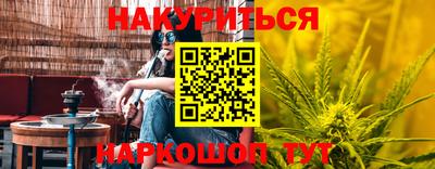 кокс Кингисепп