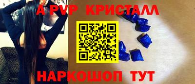 кокс Кингисепп