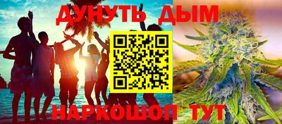 кокс Кингисепп