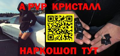 кокс Кингисепп