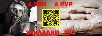кокс Кингисепп