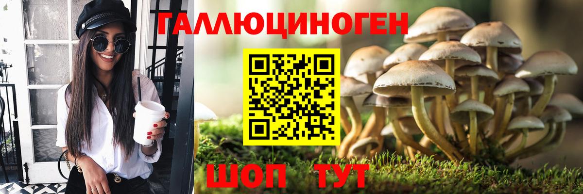Псилоцибиновые грибы Psilocybe  Вход с VPN  дарнет шоп  Камышлов 
